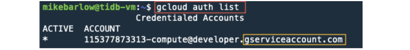 Execute gcloud commands with user account