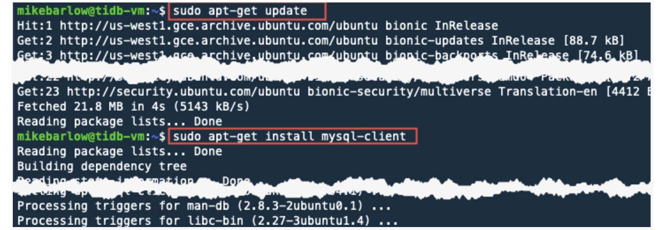 Install a MySQL client using apt-get